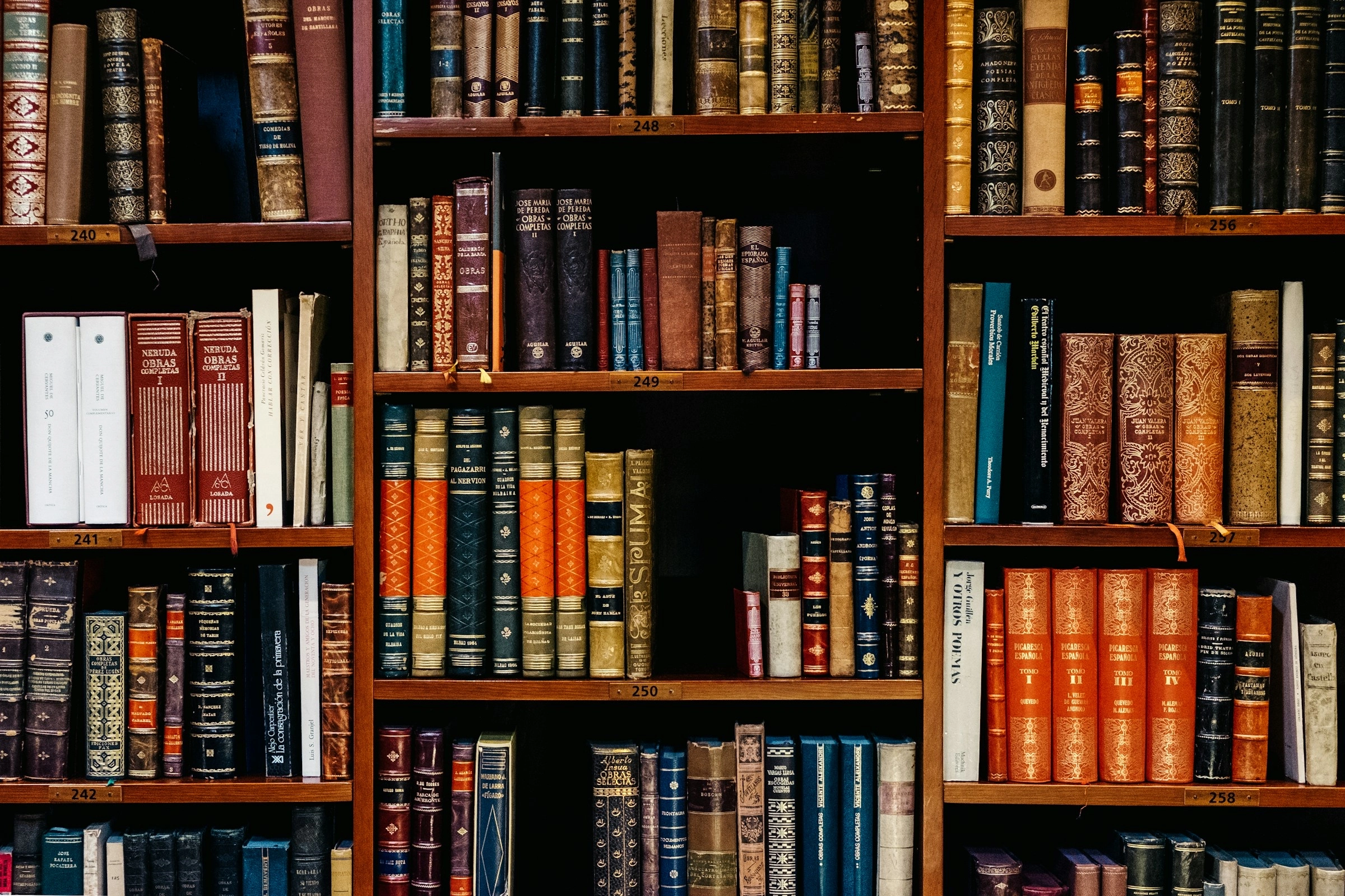 inaki-del-olmo-NIJuEQw0RKg-unsplash https://galileolab.kinguru.pt/wp-content/uploads/2024/10/inaki-del-olmo-NIJuEQw0RKg-unsplash.webp
